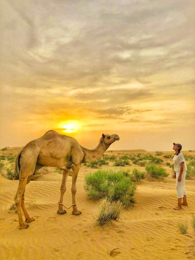Hotel Desert Bloom Jaisalmer Εξωτερικό φωτογραφία